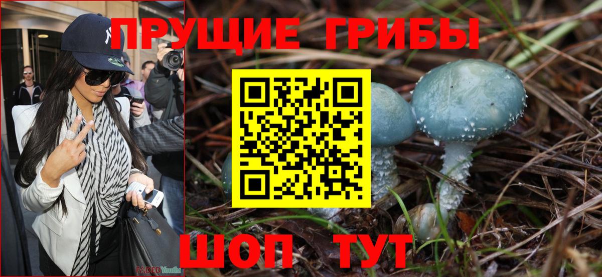 Волгодонск  Галлюциногенные грибы прущие грибы  Вход с VPN  Галлюциногенные грибы прущие грибы 