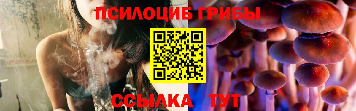 Галлюциногенные грибы Psilocybine cubensis Волгодонск